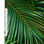 Αυτοκόλλητο ψυγείου PALM LEAVES