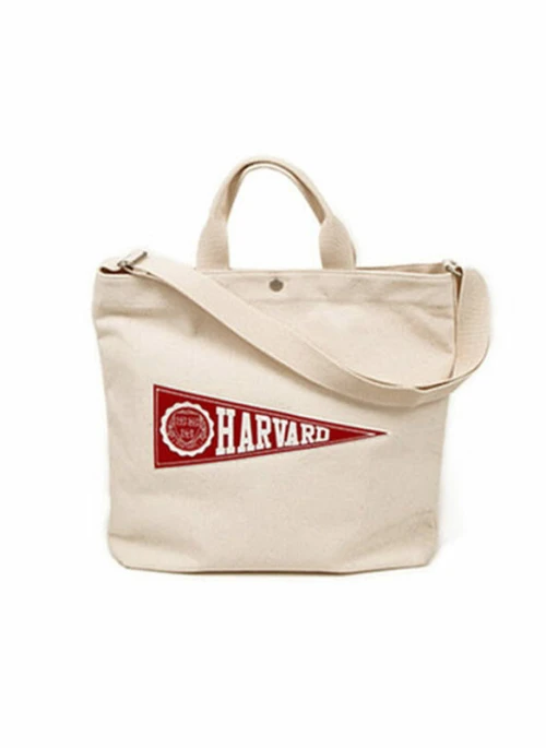 Beige Harvard Canvas Bag | Kang Mi Rae – My ID is Gangnam Beauty