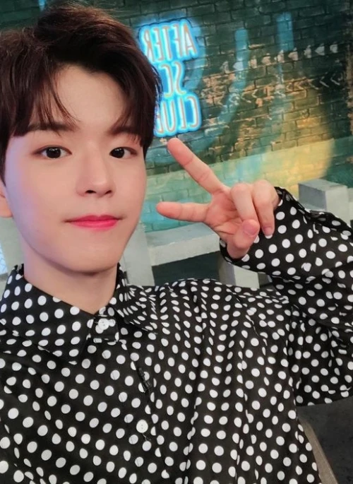 Polka Dot Long Sleeve Shirt | Seungmin – Stray Kids