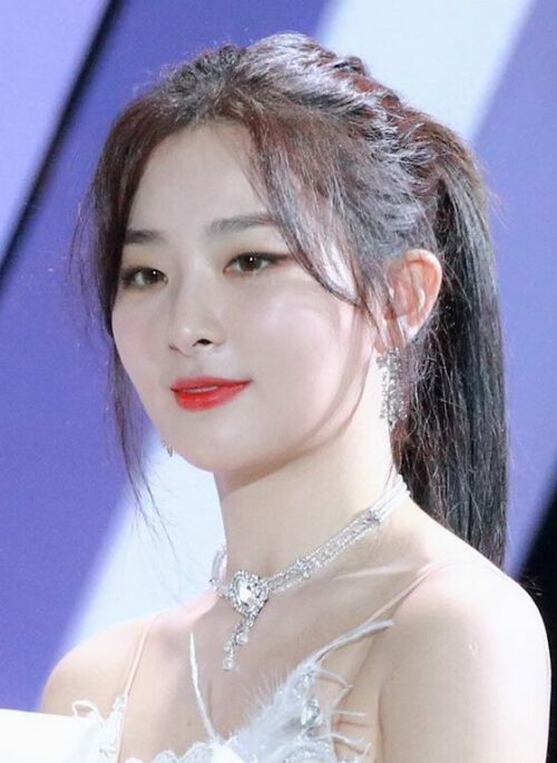 Silver Crystal Choker | Seulgi – Red Velvet