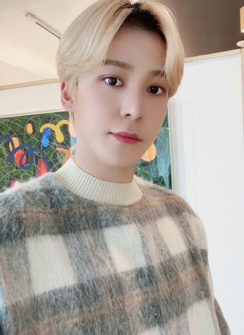 Grey Grid Sweater | Yunho – ATEEZ