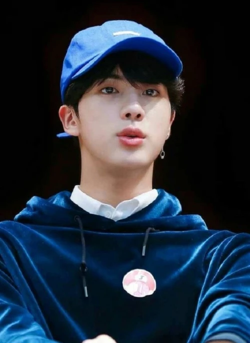 Midnight Blue Velvet Hoodie | Jin – BTS