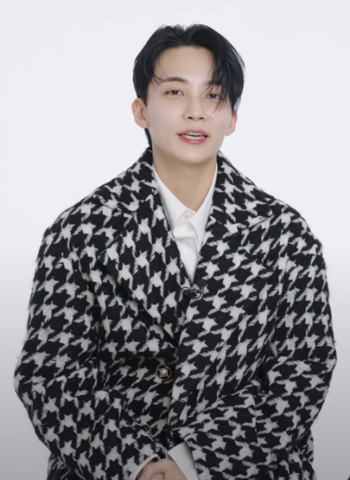 Black And White Houndstooth Loose Coat | Jeonghan – Seventeen