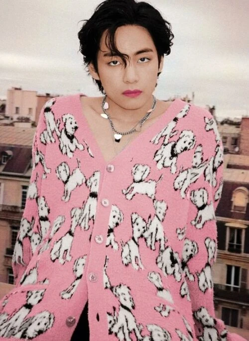 Coral Pink Puppy Print Cardigan | Taehyung – BTS