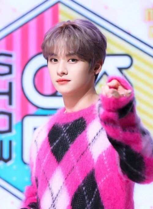 Pink Fuzzy Argyle Sweater | LeeKnow – Stray Kids