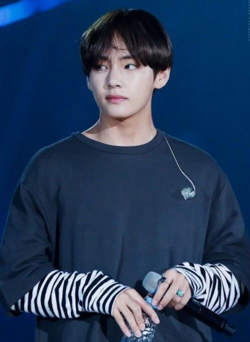 Black Oversized T-Shirt With Fake Sleeves | Taehyung – BTS