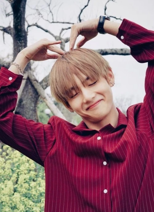 Red Stripe Collared Shirt | Taehyung – BTS