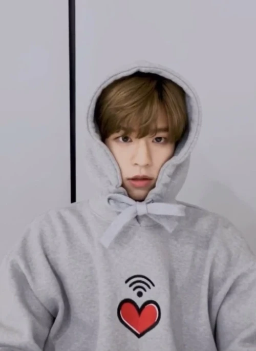 Grey Heart Printed Hoodie | Seungmin – Stray Kids