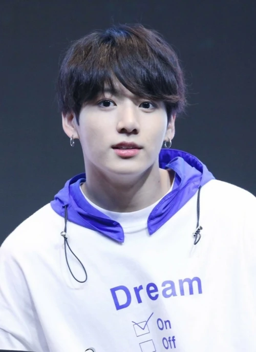 Black Outlined Short Sleeves Shirt | Jungkook - BTS - Fashion Chingu