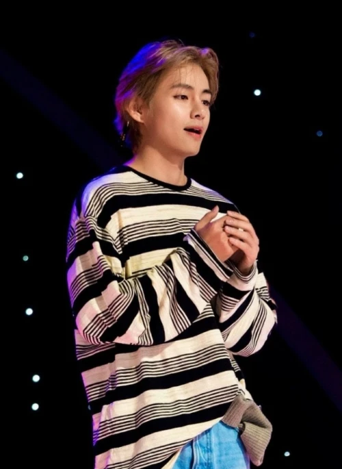 Black And White Striped Long Sleeve T-Shirt | Taehyung – BTS