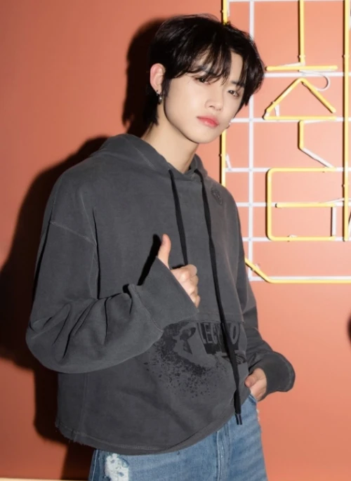 Grey Cropped Drawstring Hoodie | Yeonjun – TXT