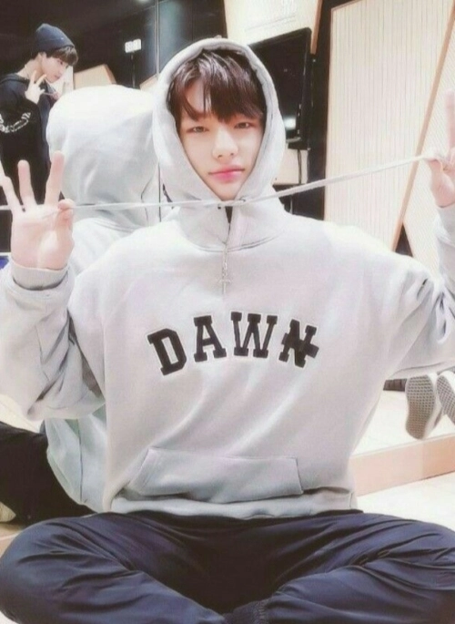 Grey “Dawn” Hoodie | Hyunjin – Stray Kids