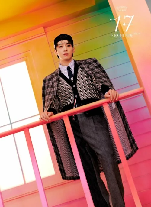 Black Twist And Stripes Cardigan With Banded Sleeves | Wonwoo – Seventeen