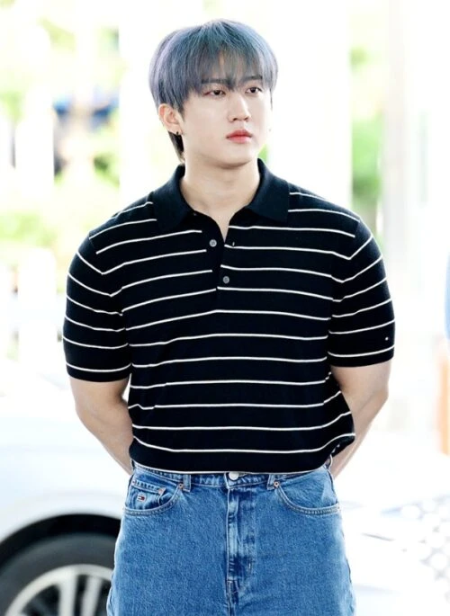 Black Striped Casual Polo Shirt | Changbin – Stray Kids