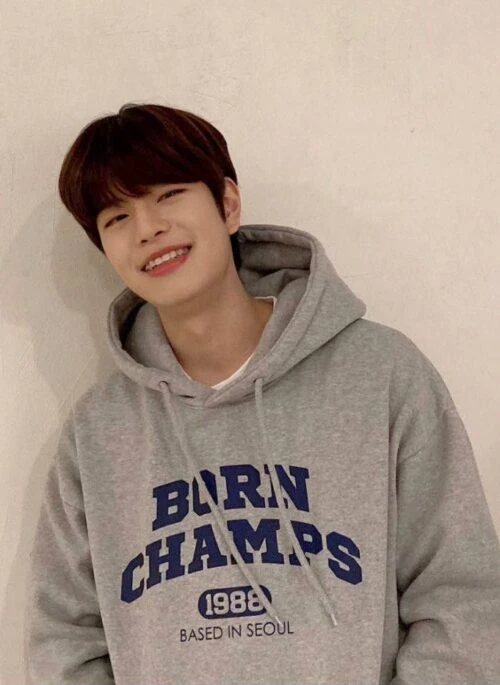 Grey 1988 Born Champs Hoodie | Seungmin – Stray Kids