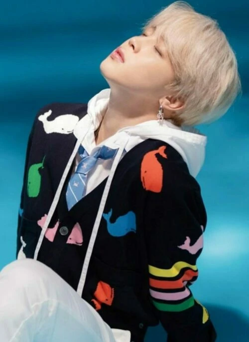 Black V-Neck Whale Print Cardigan | Jimin – BTS