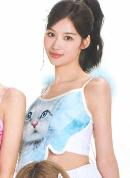 Blue Cat-Print Halter Crop Top | Sana – Twice