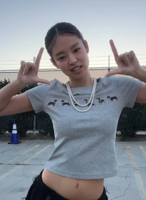 Grey Minimalist Dog Print T-Shirt | Jennie - BlackPink