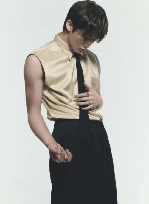 Beige Sleeveless Silk Shirt | Mark – NCT