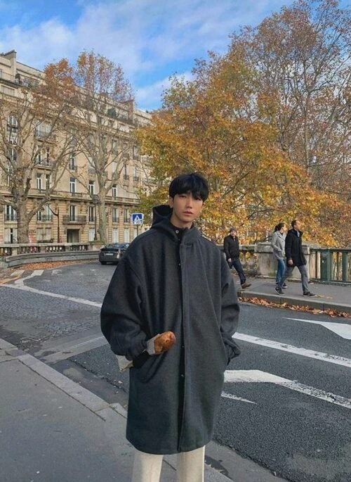 Casual Hooded Wool Coat