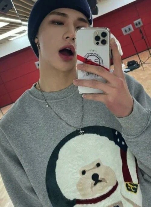 Grey Cartoon Puppy Print Sweatshirt | Hyunjin – Stray Kids