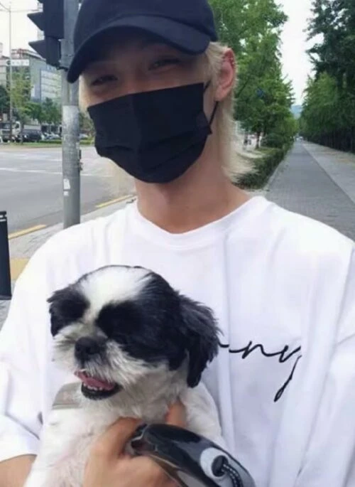 White 20th Century Boy Printed T-Shirt | Felix - Stray Kids
