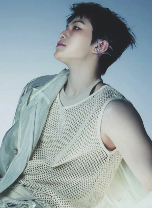 Beige See-Through Mesh Tank Top | Woozi – Seventeen