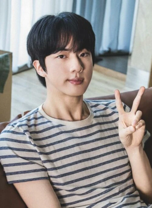 Beige Stripes Casual T-Shirt | Jin – BTS