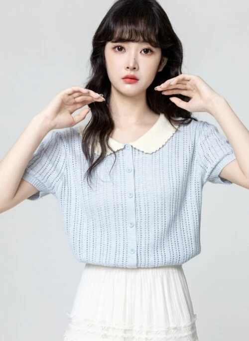Blue Knit Short Sleeve Collared Top