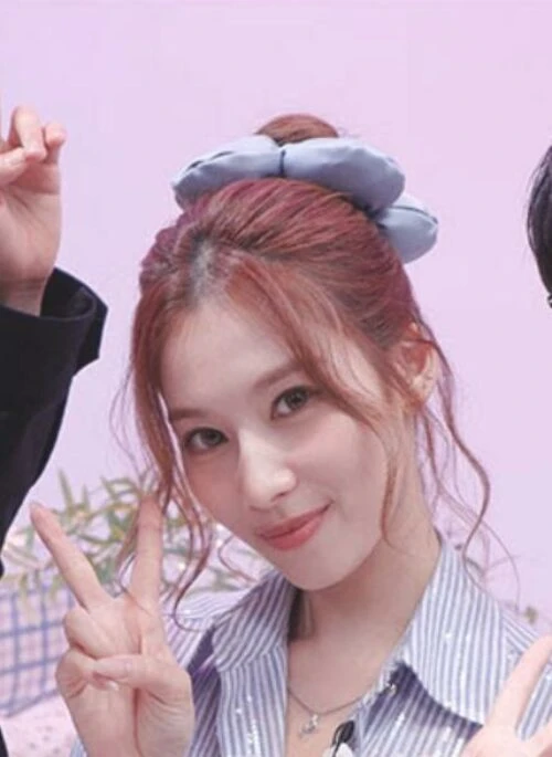 Blue Large Cushion Flower Hair Tie | Sana – TWICE