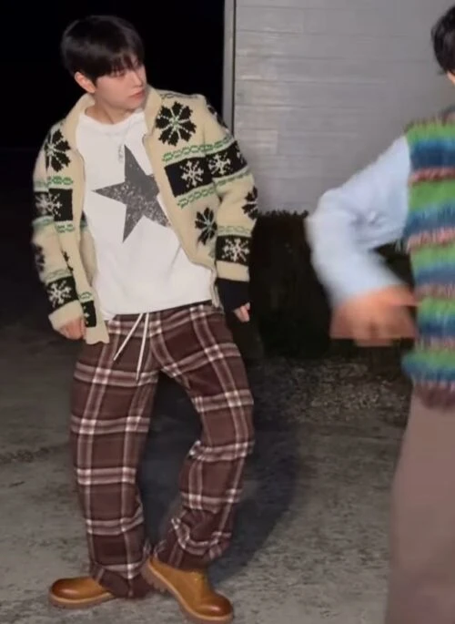 Brown Plaid Loose Pants | Seungmin – Stray Kids