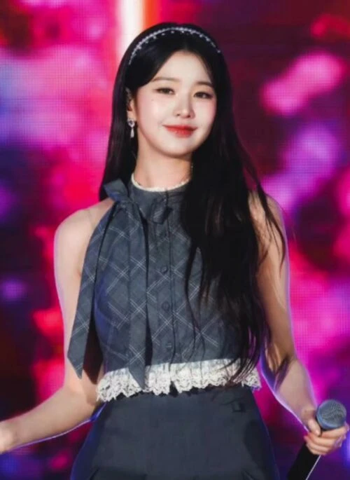 Grey Plaid Lace-Trim Button-Up Top | Wonyoung - IVE