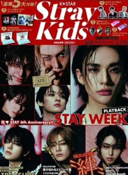 K-STAR Magazine Stray Kids Dream