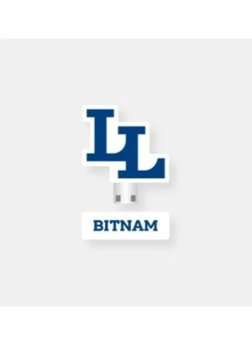 Libelante BITNAM UNIVERSITY – USB