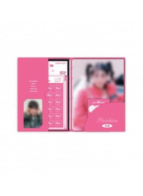 APINK “Pink Drive” Merch – Pink Drive Kit