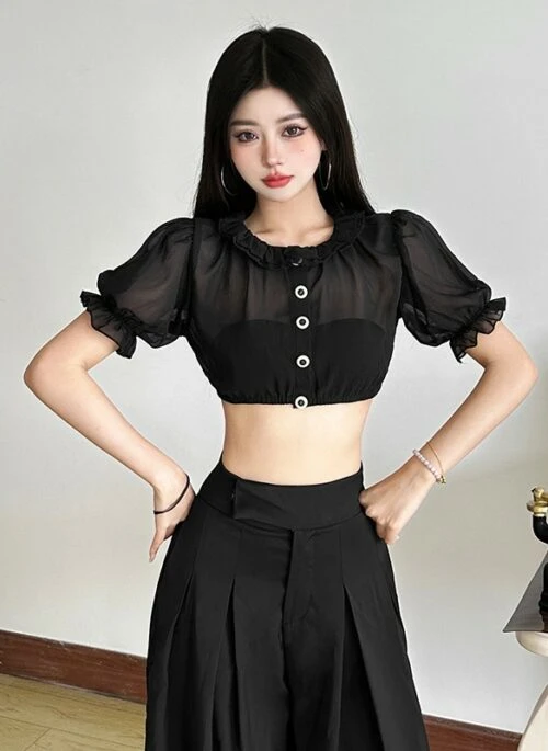 Black Sheer Mesh Short Sleeve Crop Top | Jennie – BlackPink