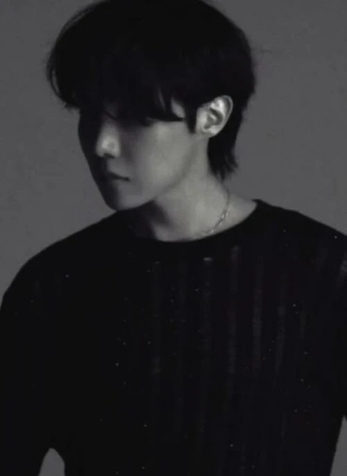 Black Sheer Stripe Long Sleeves Knit Top | J-Hope - BTS