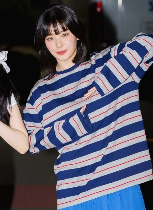 Blue And Grey Striped Long Sleeve T-Shirt | Seulgi – Red Velvet