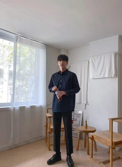 Casual Loose Fit Wrinkle Free Shirt