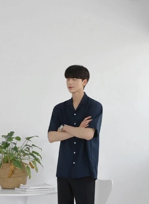 Casual Loose Short Sleeve Shirt