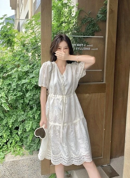 Embroidered Puff Sleeve V Neck A Line Dress