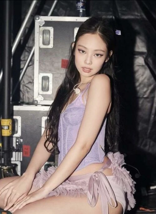 Purple Sheer Mesh Corset Top | Jennie – BlackPink
