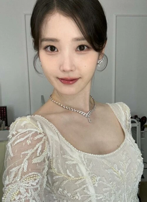 Silver Elegant Crystal Necklace & Earrings Set | IU