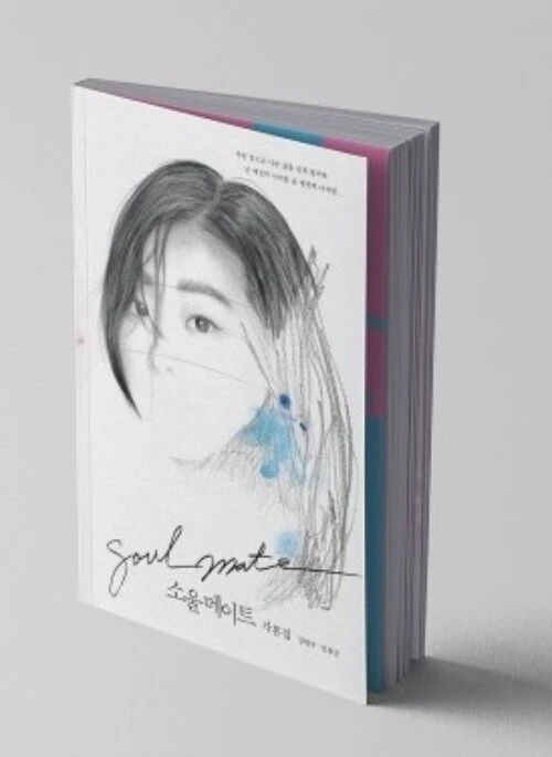 Soul Mate Script Book
