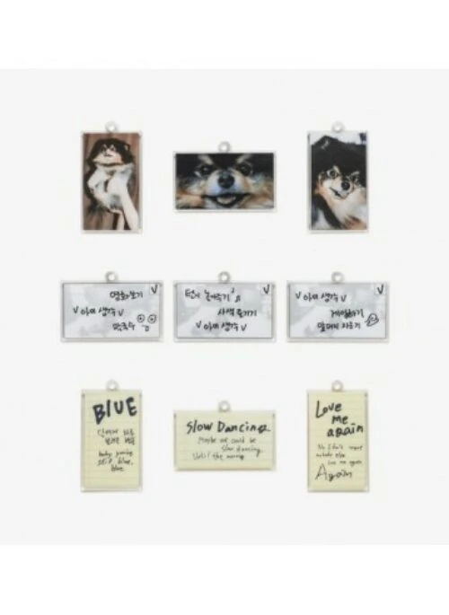 V “LAYOVER” Merch – Keyring Set