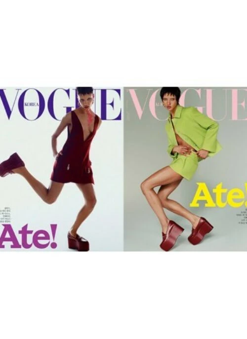 Vogue Magazine February 2024 Cover Random