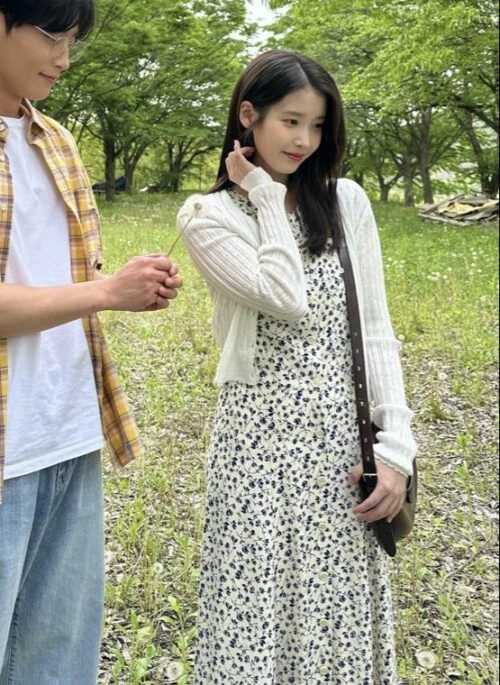 White Floral Print A-line Dress | IU