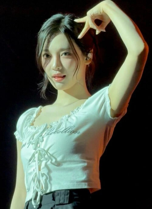 White Rebellion Print Ruffled Top | Ningning - Aespa