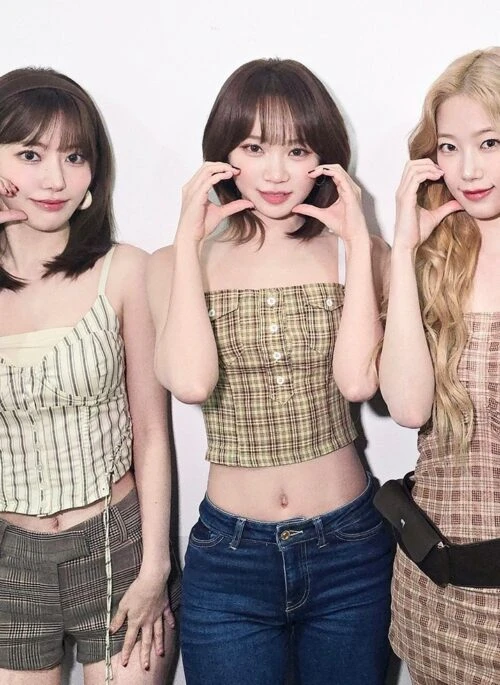 Brown Button Accent Plaid Top | Chaewon – Le Sserafim