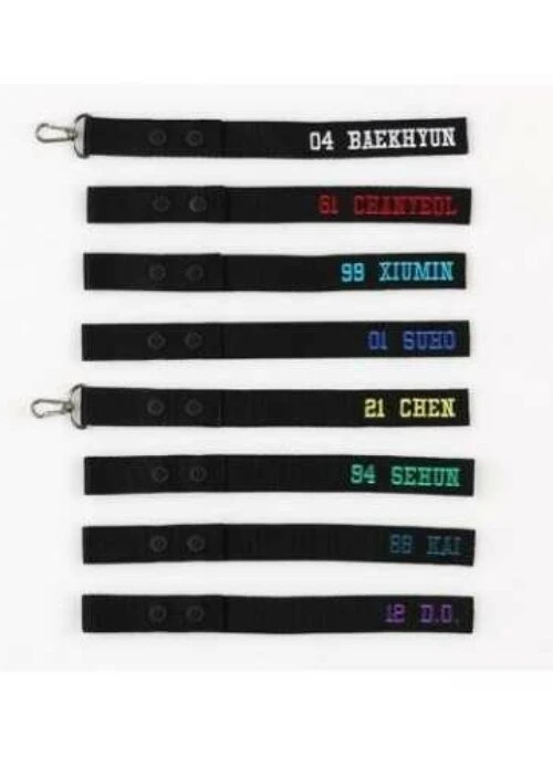 EXO “ElyXiOn” Concert Merch – Name Tag